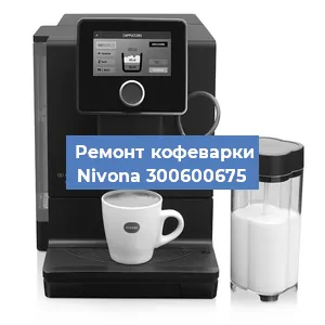 Чистка кофемашины Nivona 300600675 от накипи в Тюмени